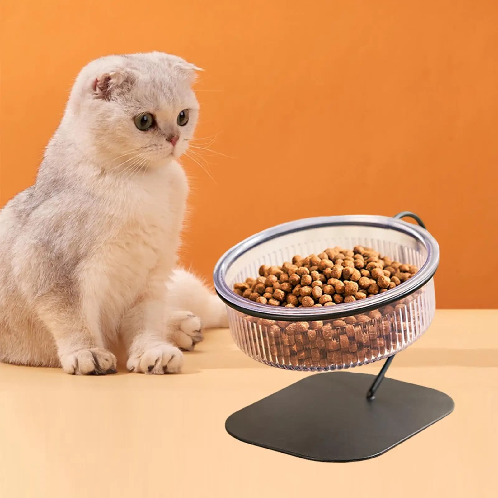 Ciotola per cibo per gatti rialzata Ciotola per bere mangiatoia per animali domestici rimovibile per gatti da interni