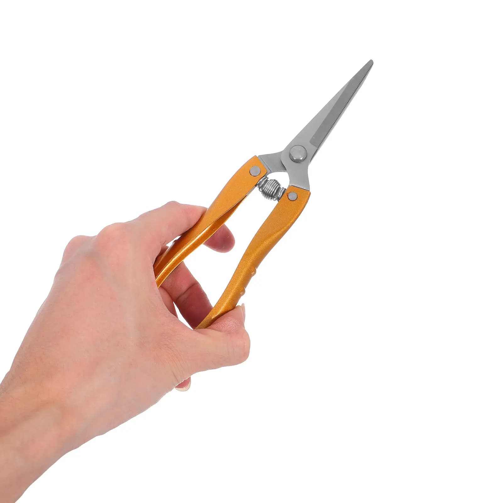Professional 2-piece pruning scissors, garden scissors for flowers and plants, stainless steel, anti-rust, ergonomic design, save-work