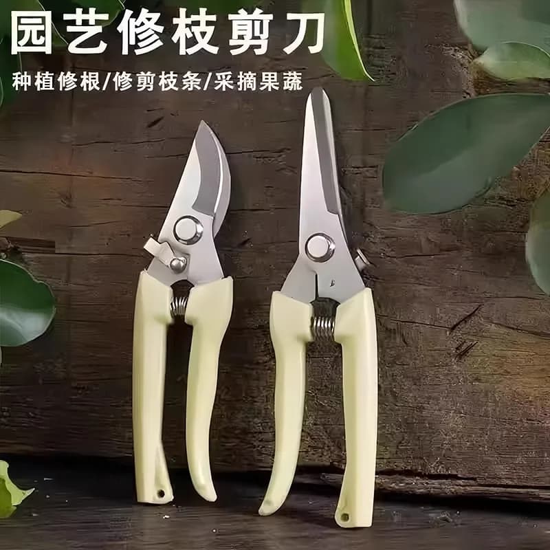 Forbici da Giardinaggio, Cesoie per Fiori, Troncarami per Alberi da Frutto, Attrezzo per Potatura Fiori