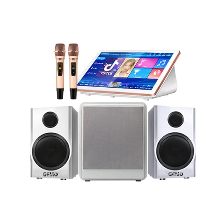 High Quality 19-Inch Portable Karaoke System KTV Sing Player With Subwoofer Mic Speakers Sound Box-for Home KJ Machine