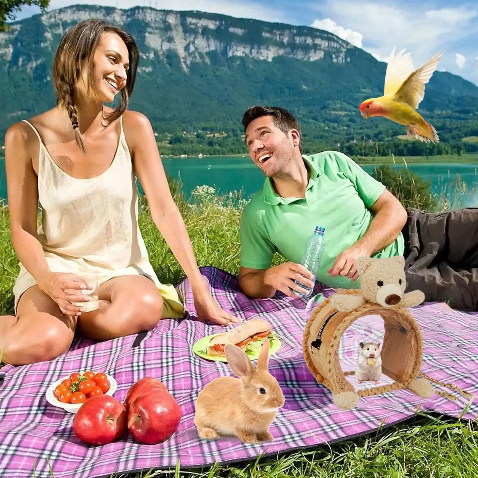 Borsa da viaggio per piccoli animali con finestra trasparente, borsa da viaggio per riccio, per viaggi di piccoli animali domestici, coniglietto, drago barbuto, zucchero, aliante