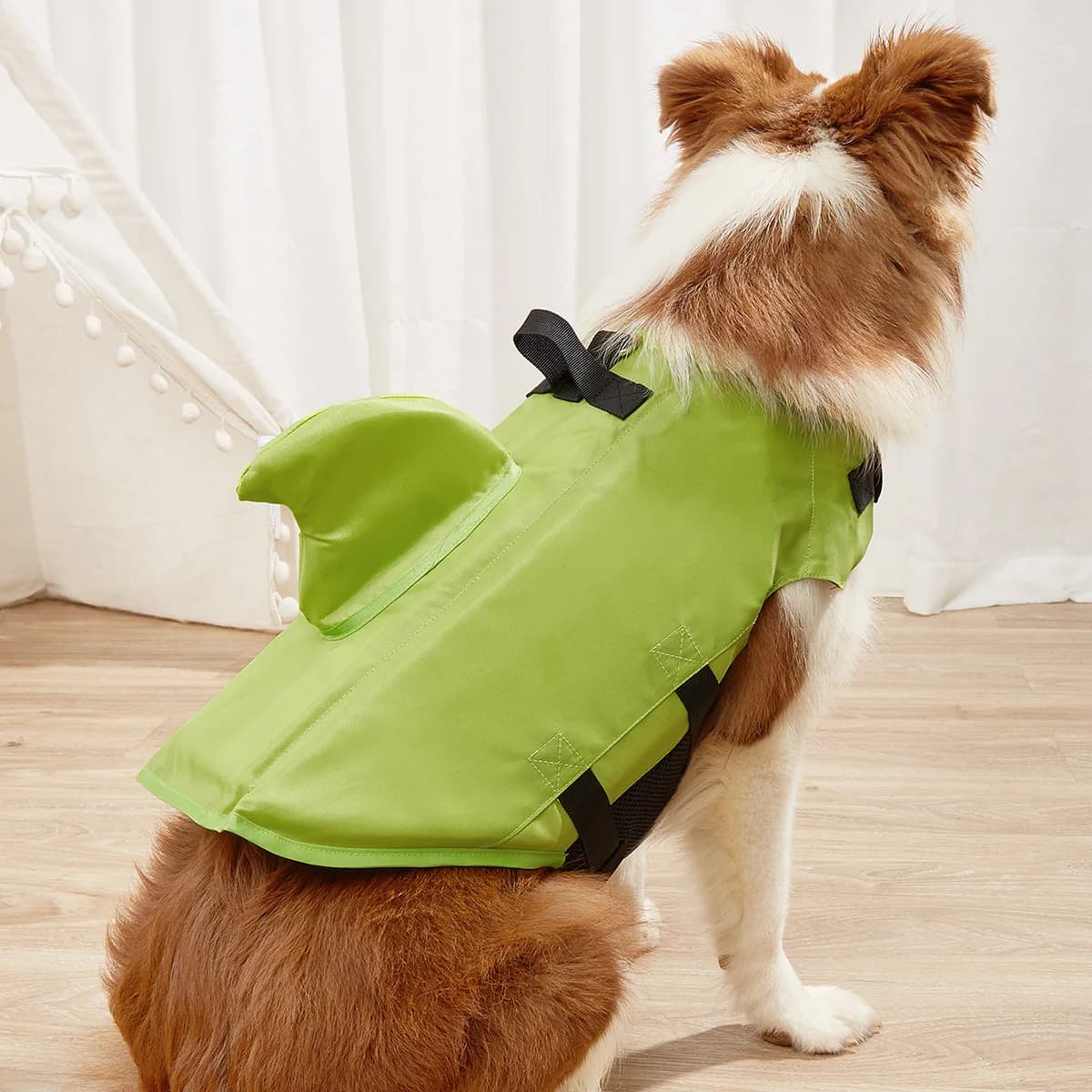 Giubbotto di salvataggio per cani Summer Shark Giubbotto di salvataggio per animali domestici Costumi da bagno per cani Giubbotto di salvataggio per cani Preservatore galleggiante per costume da bagno