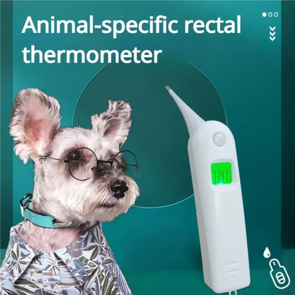 Termometro Veterinario per Animali Domestici, Termometro Rettale per Cani e Gatti, Termometro Elettronico per Animali, Forniture Veterinarie