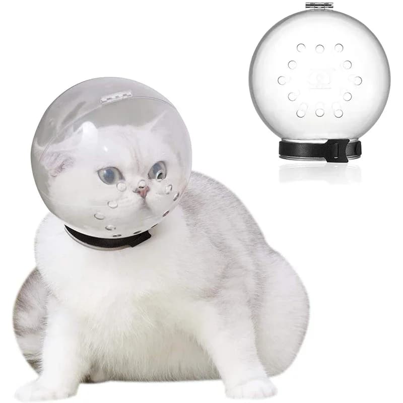 Accessori per la toelettatura dei gatti Museruola anti-morso Maschera traspirante Anti-licking Spazio Cappuccio Maschera Copertura Museruola Bagno per gatti Toelettatura Forniture