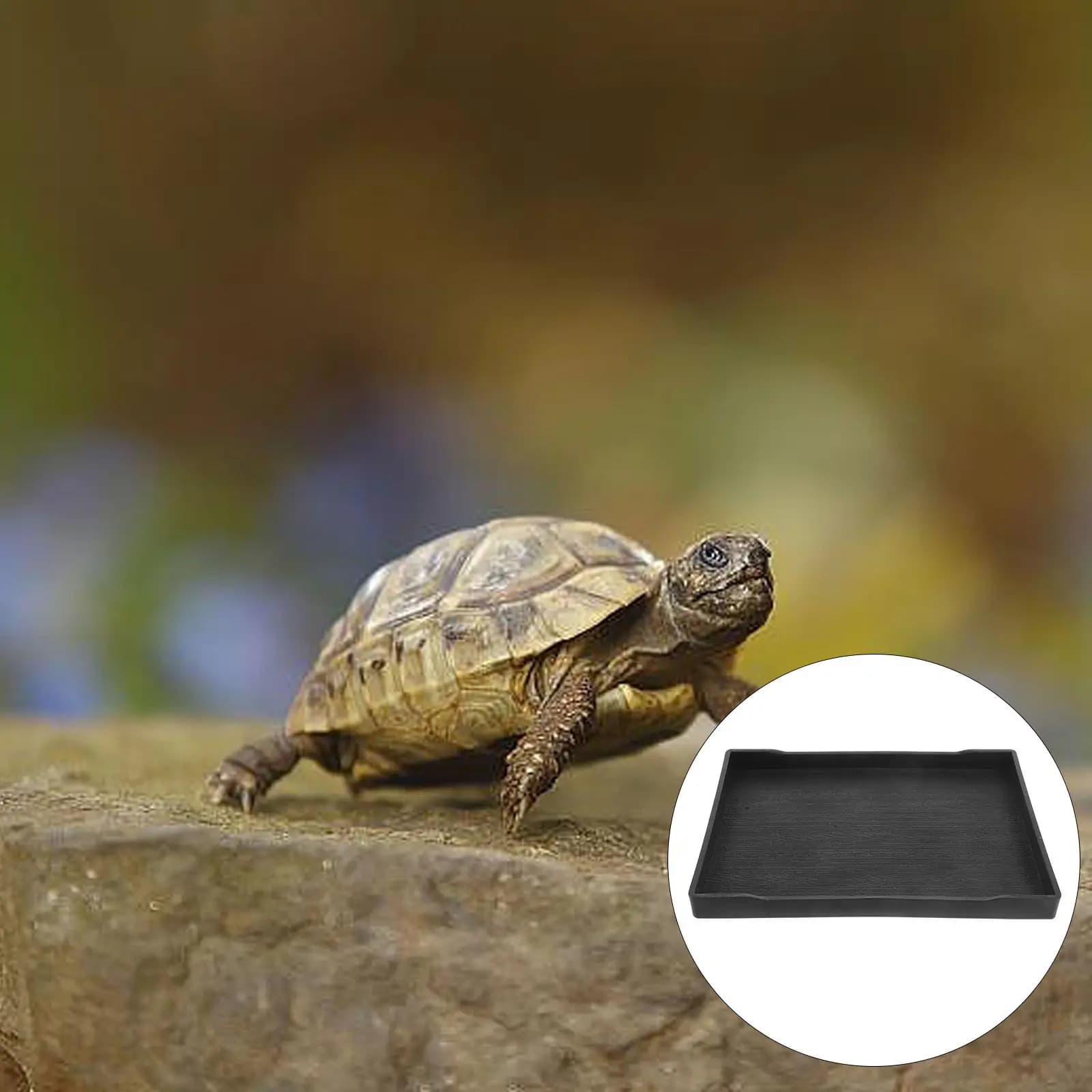 Ciotola Grande per Cibo e Acqua, Design a Parete Bassa e Poco Profonda, Ciotola Ponderata per Alimentazione Rettili, Accessori per Animali Domestici, Effetto Legno