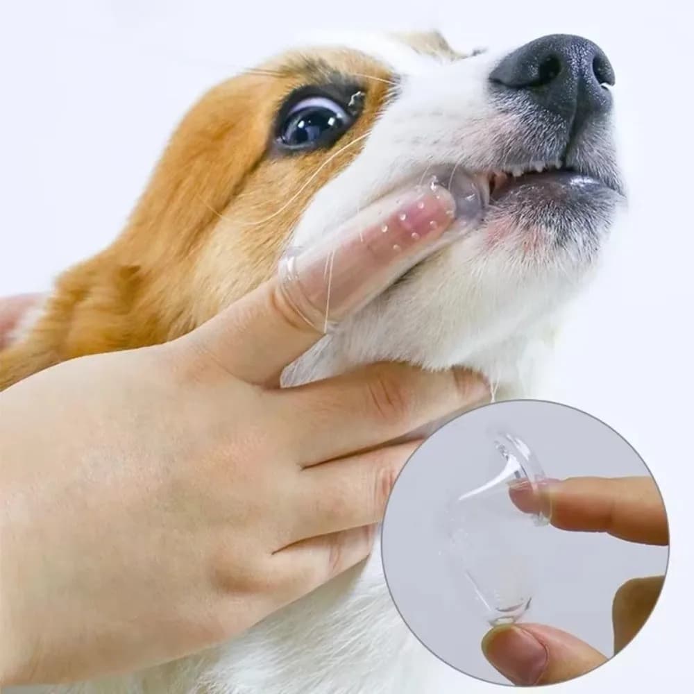 5/10pcs Ultra-Soft Cat Silicone Toothbrush Transparent Remove Tartar Pet Cleaning Supplies Remove Bad Breath Teeth Cleaning