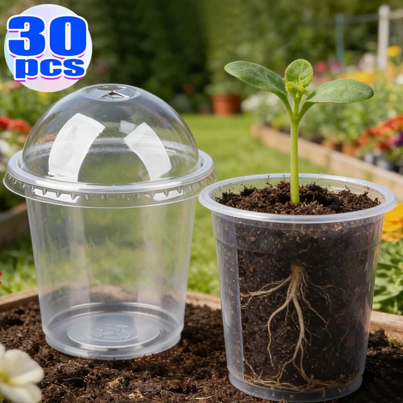 Transparent Containers for Semina with Cover, Plant Germination Vases, Plastic Containers for Semina di Succulente, Vegetables and Flowers