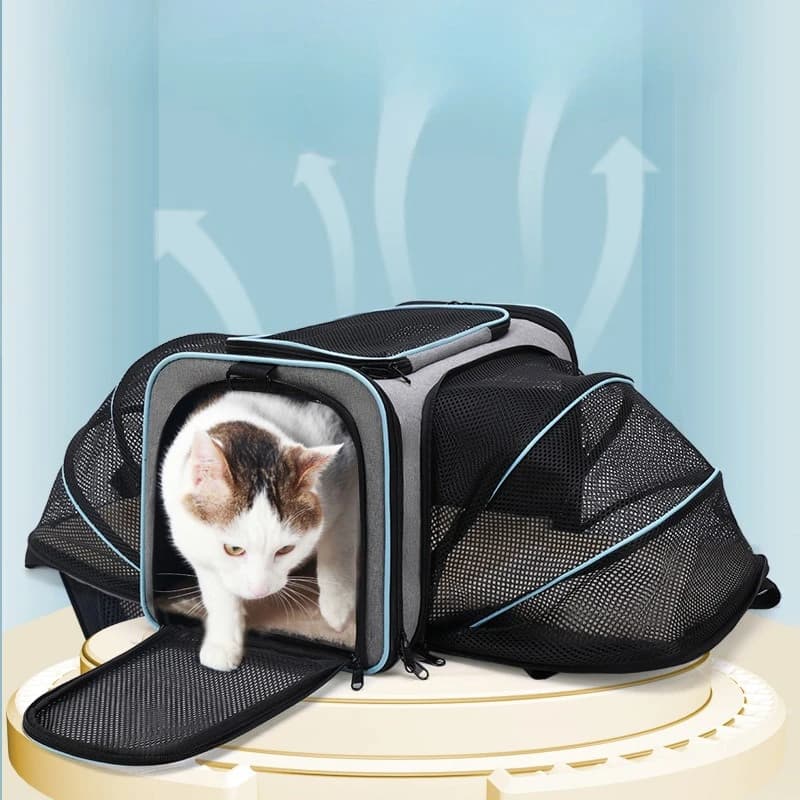 Borsa Trasportino Espandibile per Gatti da Viaggio, Portatile, Grande, Traspirante, Borsa a Tracolla per Gatti, Borsa da Trasporto per Gattini