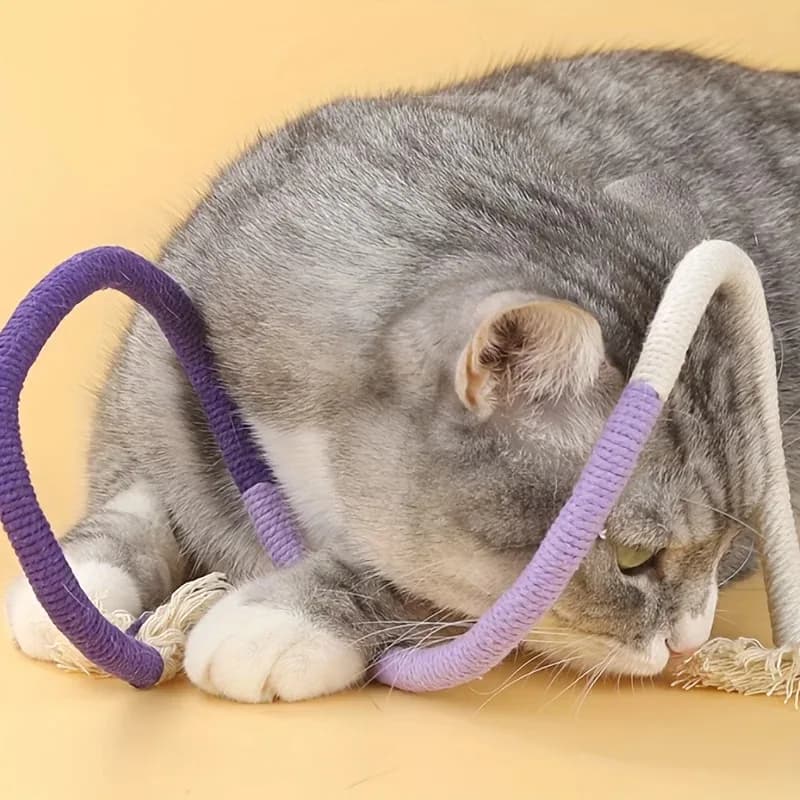 3 pezzi di corda per morso di gatto giocattolo per digringere i denti durevole giocattolo per corda per gatti