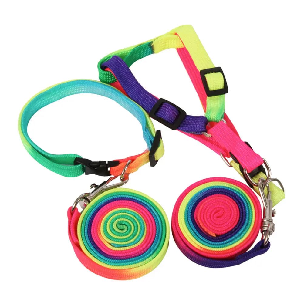 2 Pezzi Guinzaglio per Cani Arcobaleno Vibrante in Nylon Premium per Cani di Taglia Piccola, Media e Grande per Passeggiate, Escursioni e Addestramento