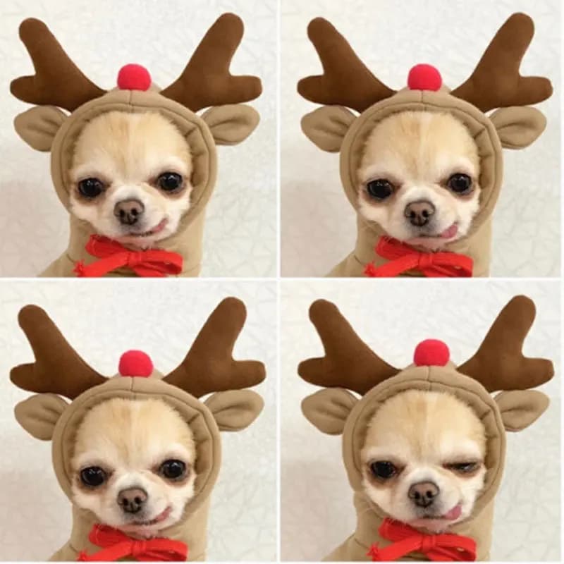Vestiti per cani da compagnia per cani Felpe con cappuccio Divertente frutta Cappotto per cani Cucciolo Abbigliamento per animali domestici per cani Costume Chihuahua Yorkshire Ropa Perro