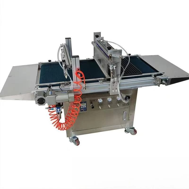 Automatic hole tray seedling sowing machine flower seed planting machine