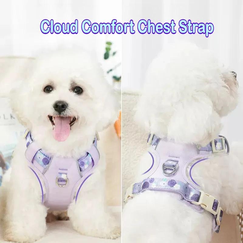 Collari per cani Imbracatura Gilet per animali domestici regolabile Cintura toracica Anti-esplosione e anti-rottura Gilet tattico da passeggio gratuito Cose Guinzaglio per gatti