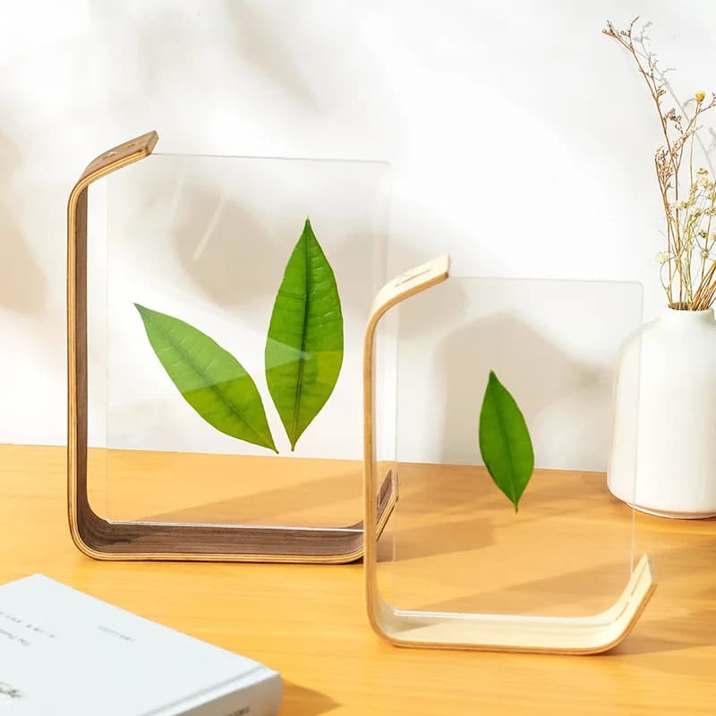 Double-sided Acrylic Photo Frame, Picture Frame, Table, Solid Wood Tabletop, Decorative Item, Plant Specimen Photo Frame