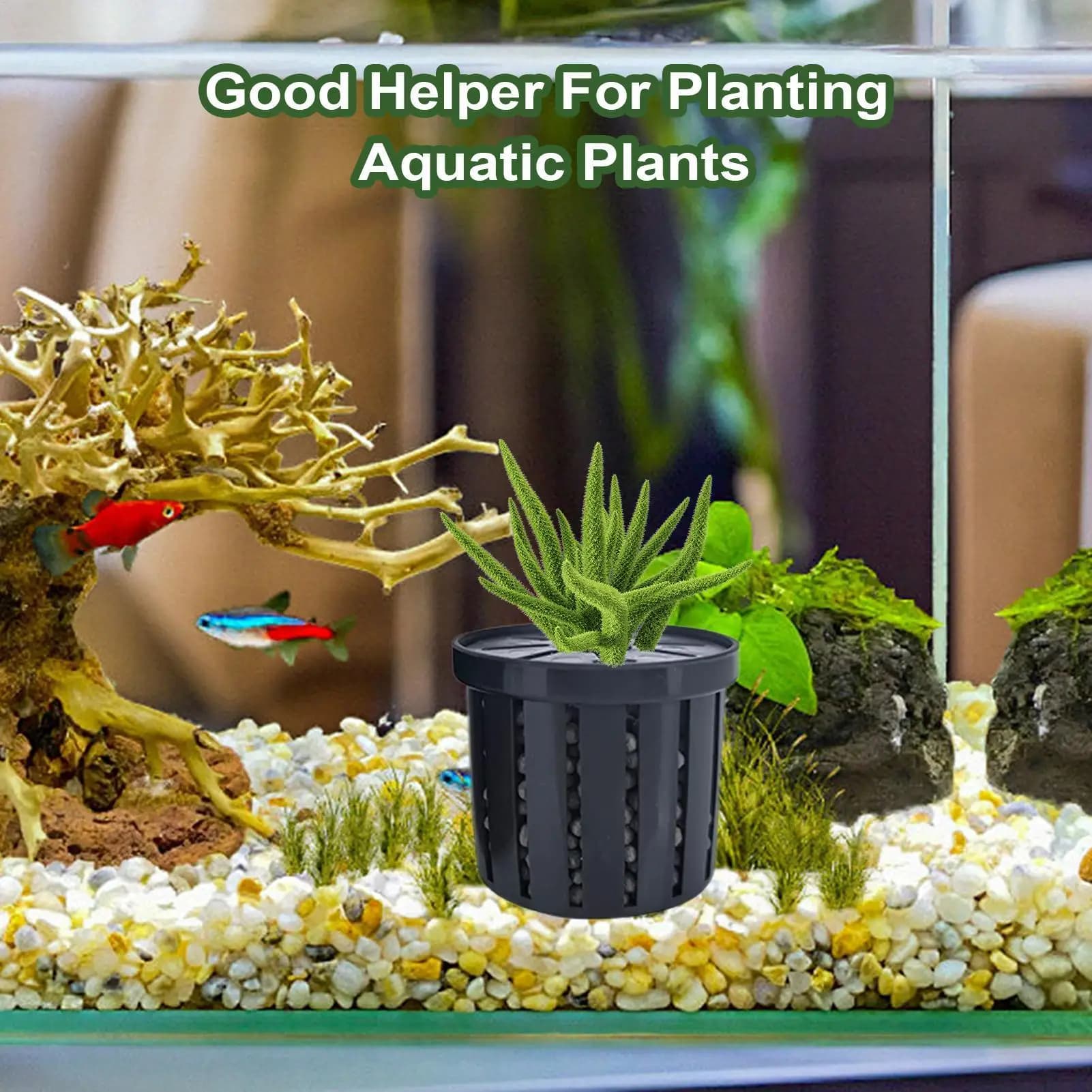 4 pz. Accessori Decorativi per Acquario, Supporto per Piante, Rete Stabile per Acquario, Cesto Fisso per Piante Idroponiche