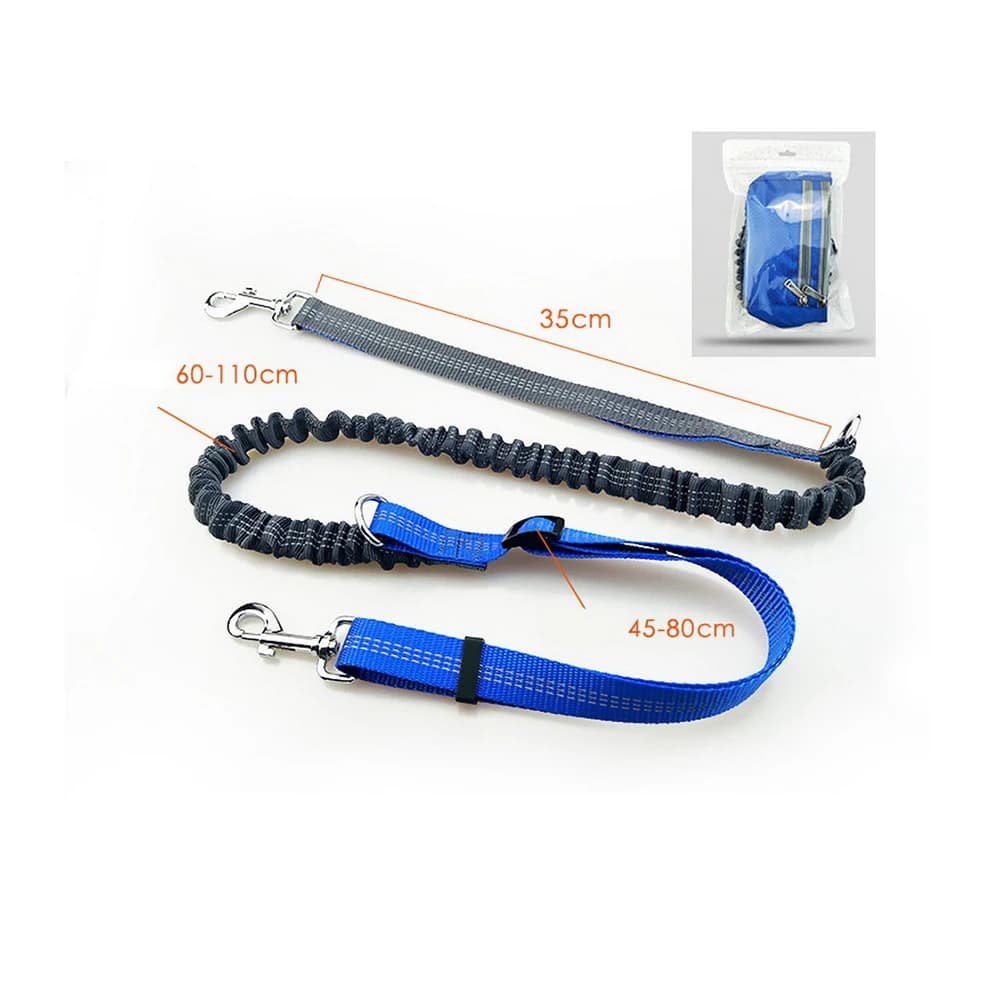 Catena per guinzagli da 10 pezzi per cani Tasche impermeabili Corsa da jogging Guinzagli in vita