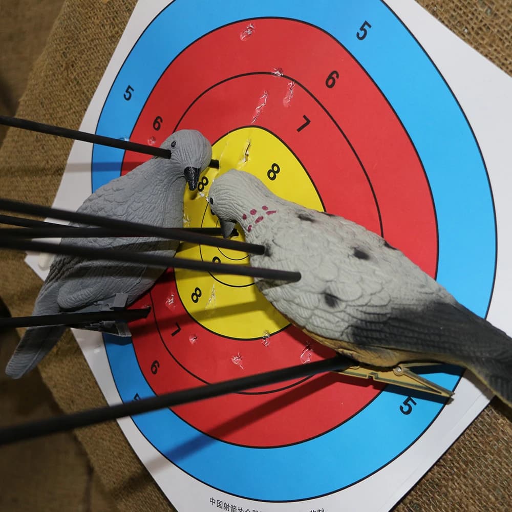 EVA Foam Pigeon Shooting Target, 3D Archery Target, Empty Hollow Inside, Hunting Training Practice Game, 3 Pcs, 6Pcs