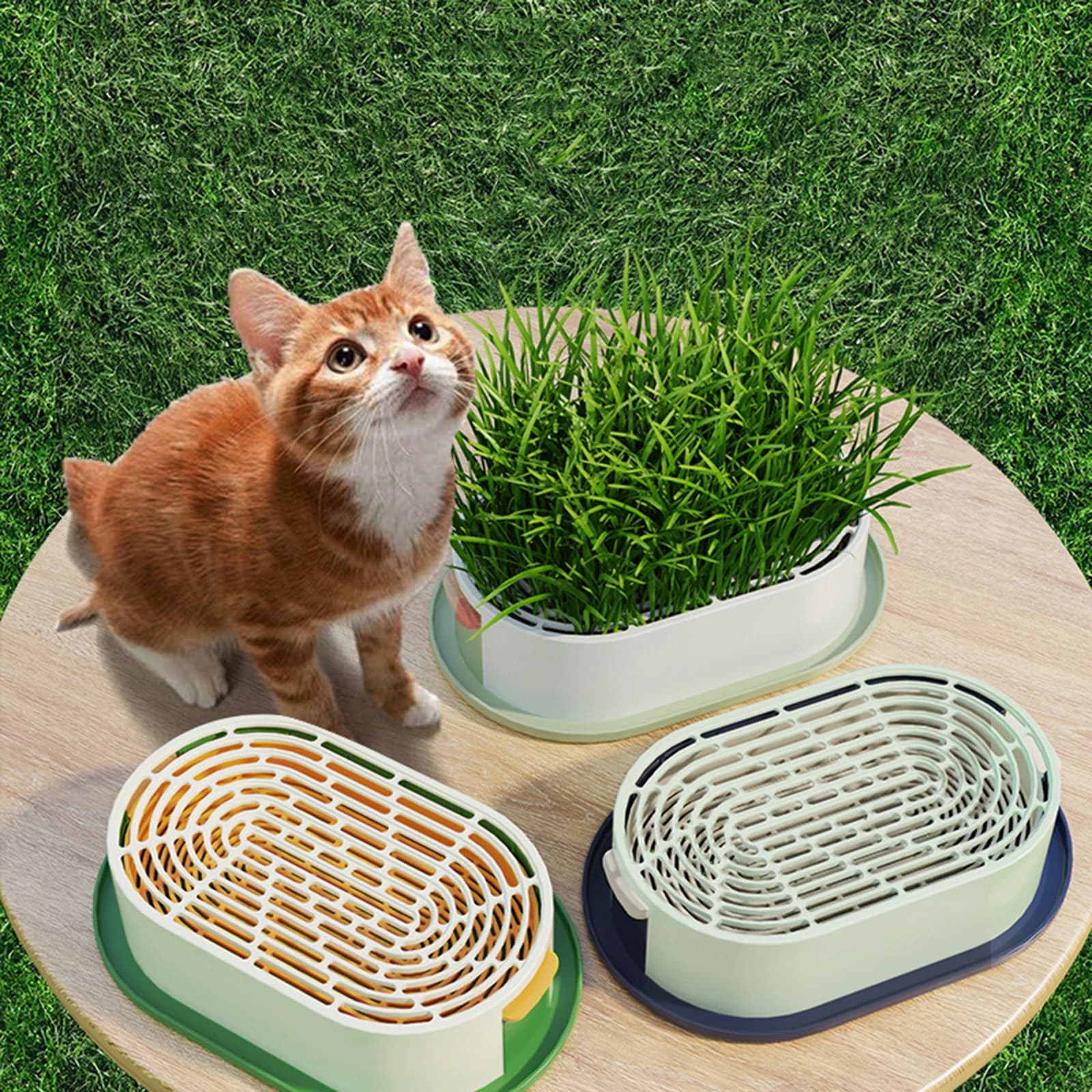 Planter box for cats with exhaust holes Tray for multifunctional hydroponic plant Vase for cultivation of wheat grass in greenhouse