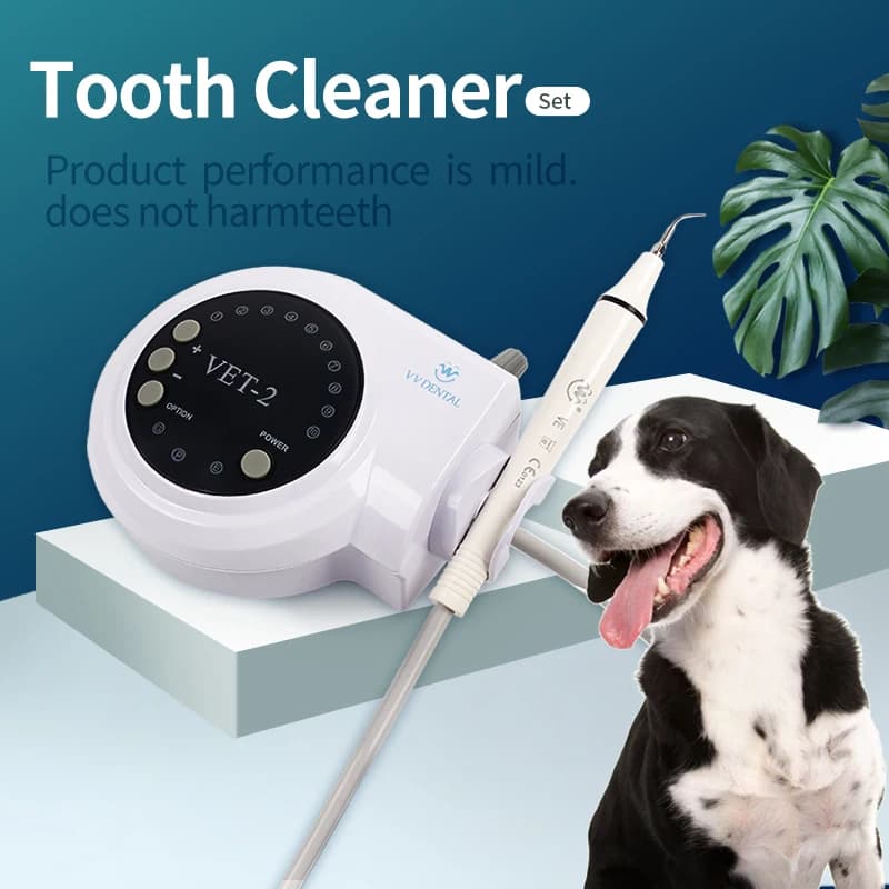 Pet Dentale Ultrasound Scaler Cane Professional Oral Scaler for Domestic Animals Removal of Tooth Calculation with 5 * Tips Dental Whitening Tools