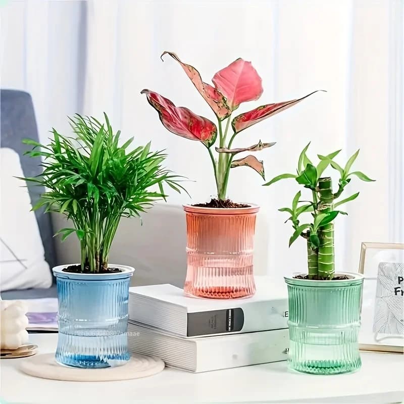 Vaso da fiori autoirrigante Vaso da fiori automatico che assorbe l'acqua Vaso decorativo per piante grasse in plastica trasparente a doppio strato