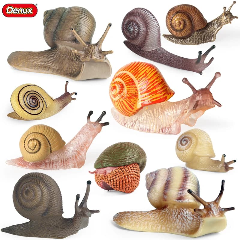 Oenux Animali di insetti selvatici Lumache Ciclo di crescita Modello Decorazione del giardino Figurine PVC Miniatura Carino Educazione Giocattoli per bambini