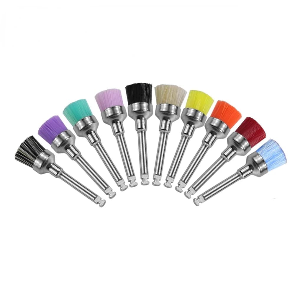 10 pcs/box Use And Drop Polisher Dentale Brush Nylon Setole Polishing Polisher Cup Whitening Prophy Tooth Brushes Dentist Tools