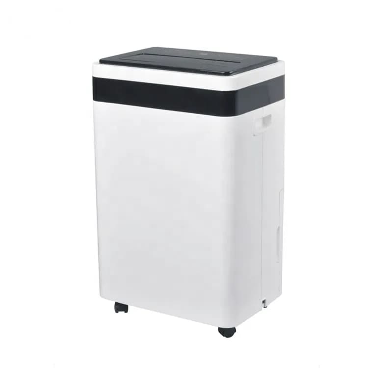 Deumidificatore Portatile Intelligente da 10 Litri di Shenzhen con Funzione Automatica per Uso Domestico e Commerciale