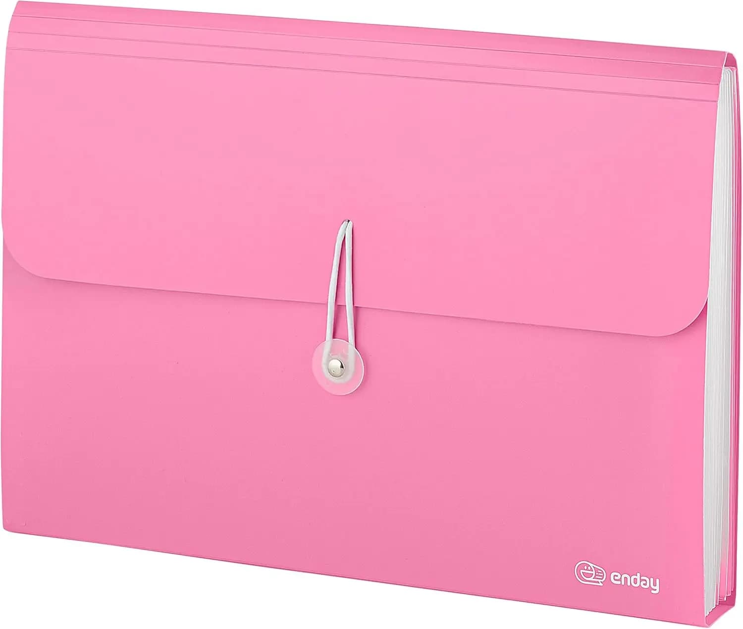 Cartella Portadocumenti Espandibile a 13 Tasche con Etichette, Organizzatore a Fisarmonica per Ricevute, Fatture, Documenti, Lettere Formato A4
