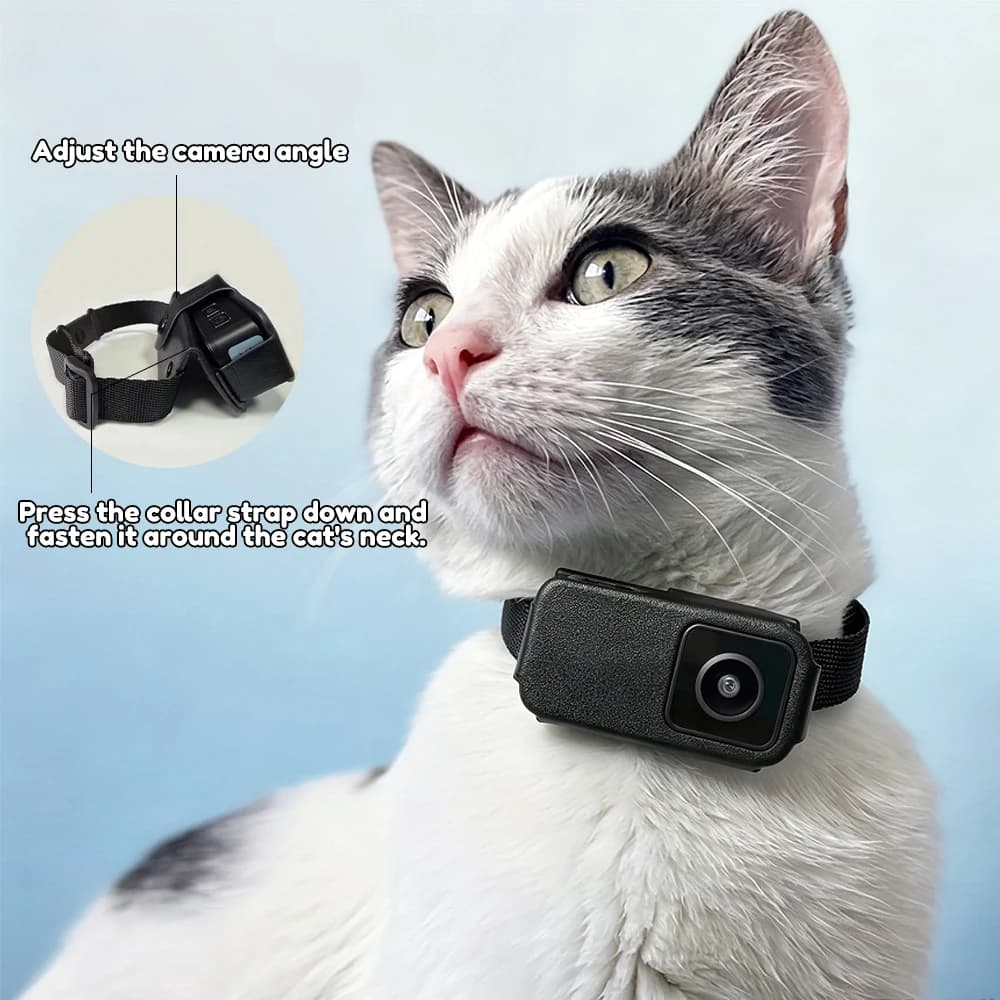 Pets Cameras HD 1080P Outdoor Wireless Collar Camera No WiFi needs video recordings for cats Dogs Birthday Gift Mini Camera