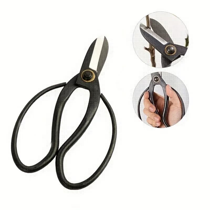 Professional bonsai shears are used for pruning plants in floral composition. I'm also talking like gardeners.