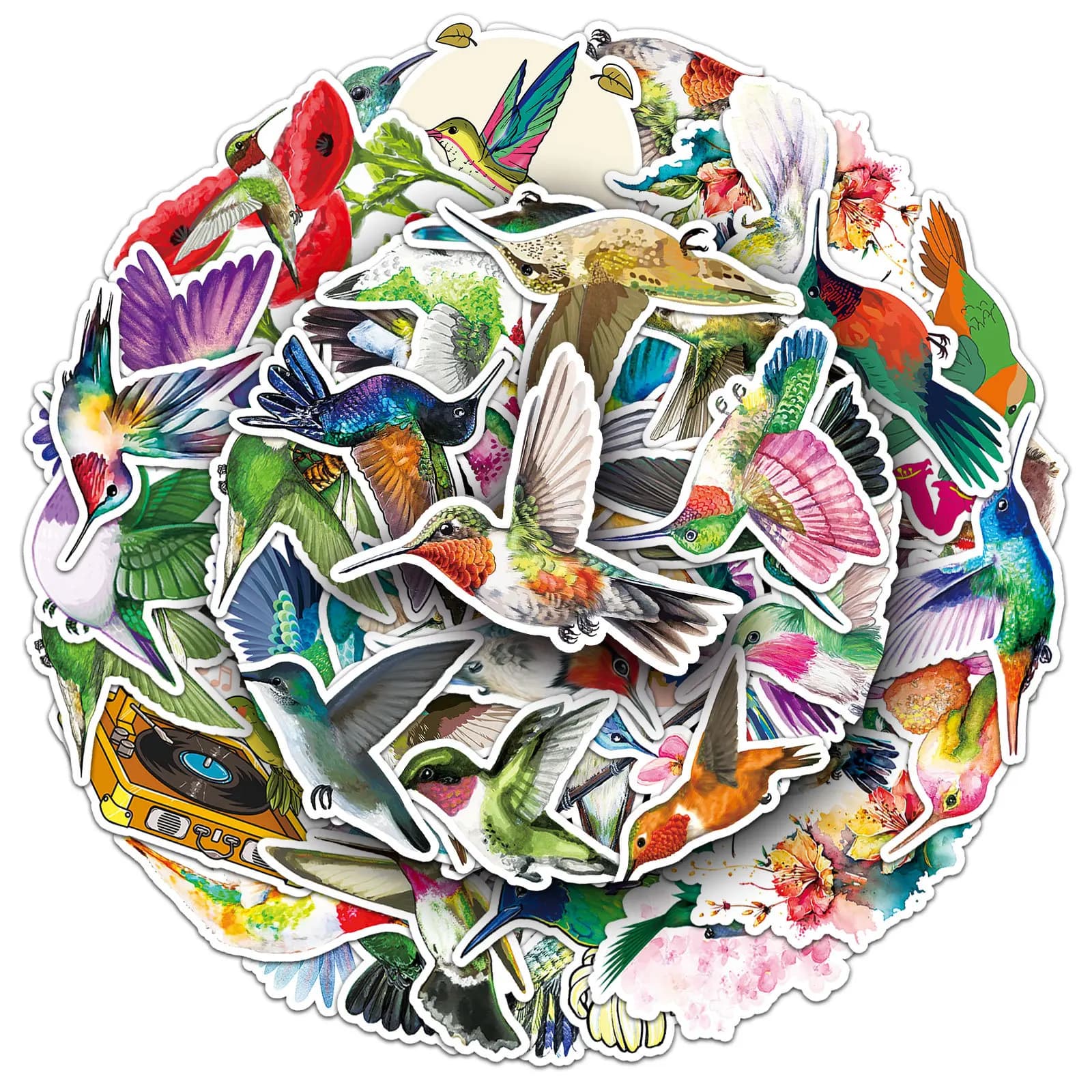 10/30/50PCS Colorato Animale Del Fumetto Colibri Adesivo Uccello Graffiti Decorazione Del Computer Portatile Bagagli Tazza di Acqua Impermeabile Decalcomania Giocattolo