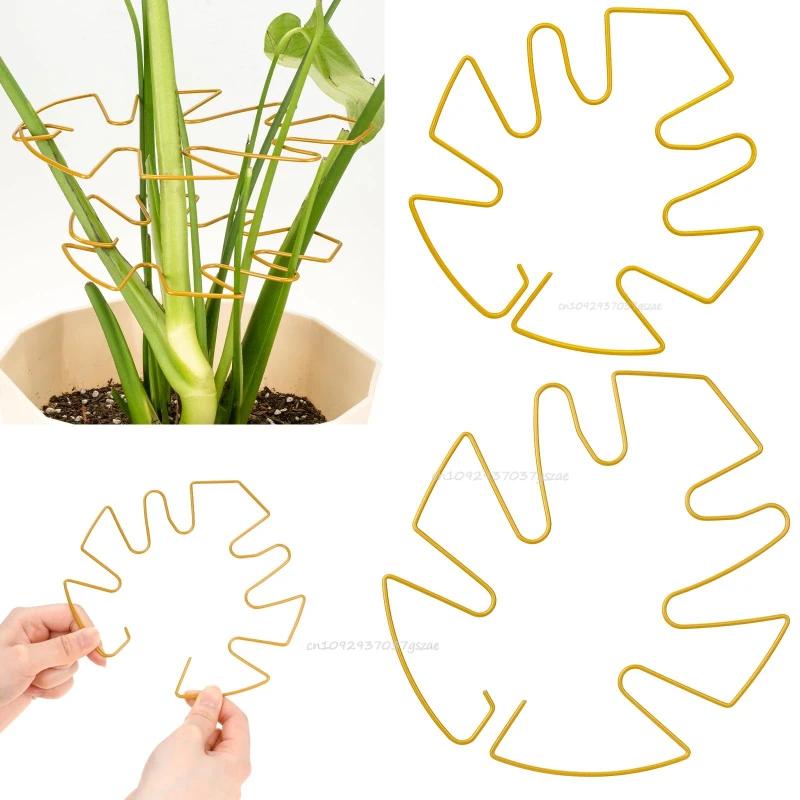 Plant Stabilizer Plant Holder For Supporting Monstera And Flowers Plant Support