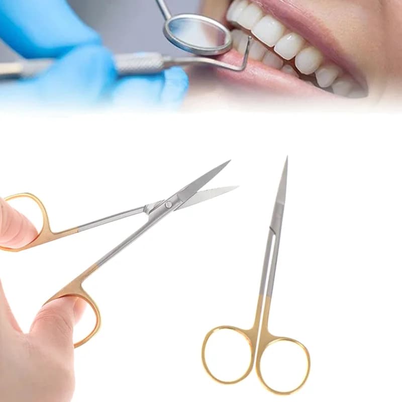 Forbici da Dentista Pinze Emostatiche in Acciaio Inossidabile Strumento Chirurgico Dentale per Pesca e Lavori di Precisione