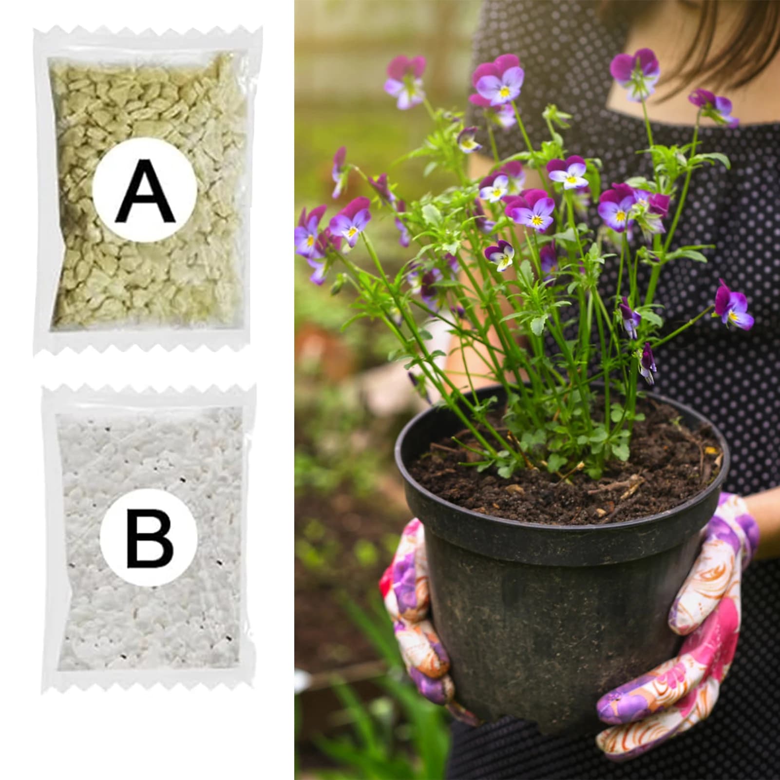 Efficient nutrient solution for plant fertilizer seed germination for pot plant transplantation, flower root, strong granular