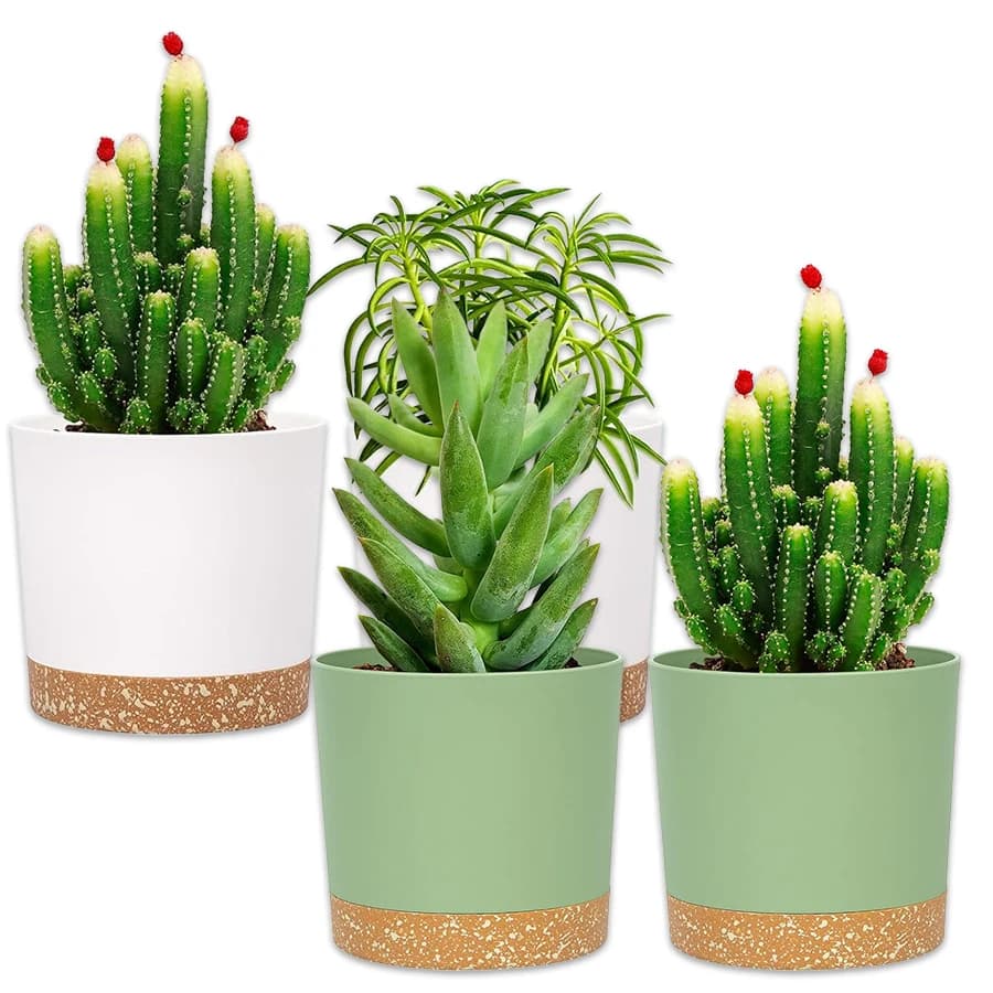 Plant Pot, 2 Pack Planters for Indoor Plants with Drainage Holes & Saucer, Outdoor Flower Pots Home Garden Modern Decor
