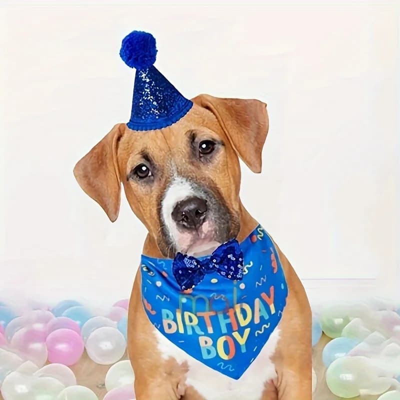 Asciugamano triangolare di compleanno per animali domestici 1pc, asciugamano Saliva per cani, sciarpa per cani per la decorazione della festa di compleanno