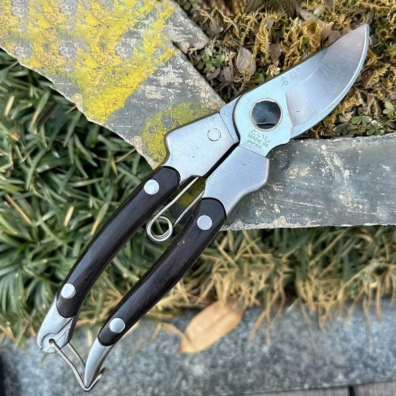 Fruit branch shears Flower pruning shears Portable pruning shears for gardening trees Cutting tools for bonsai Multipurpose scissors for outdoor use