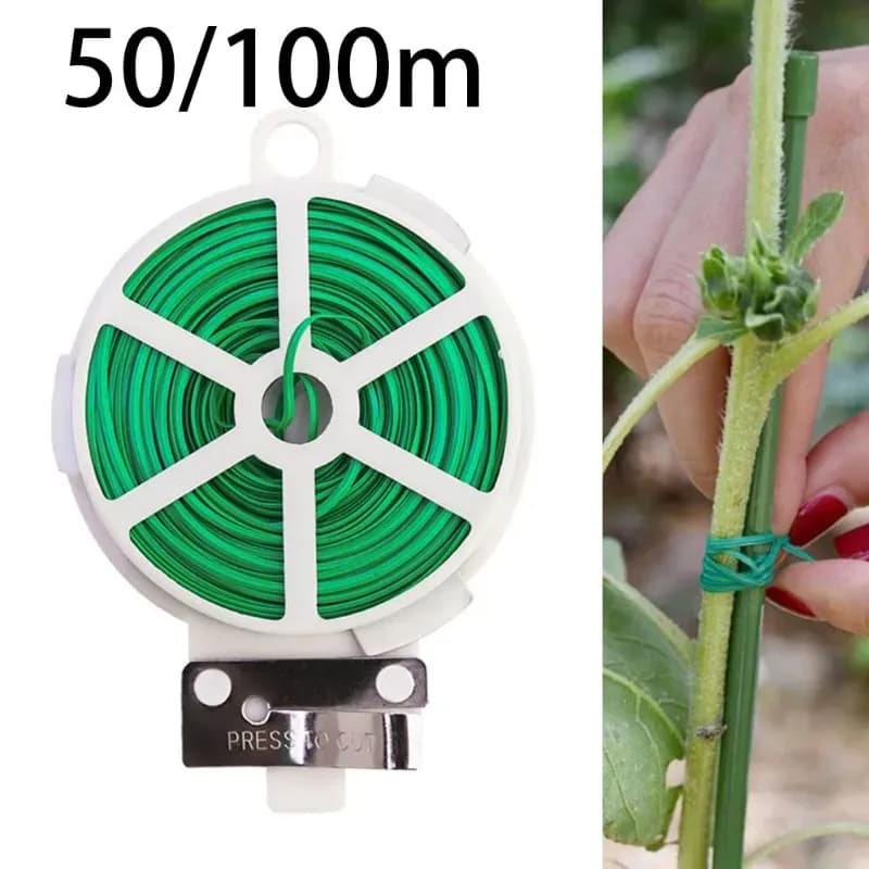 Fascette in rotolo da 100 m Giardinaggio Viti rampicanti Corde fisse Cinghia di supporto per piante da fiore Fascette per staffe per cavi da giardino verdi