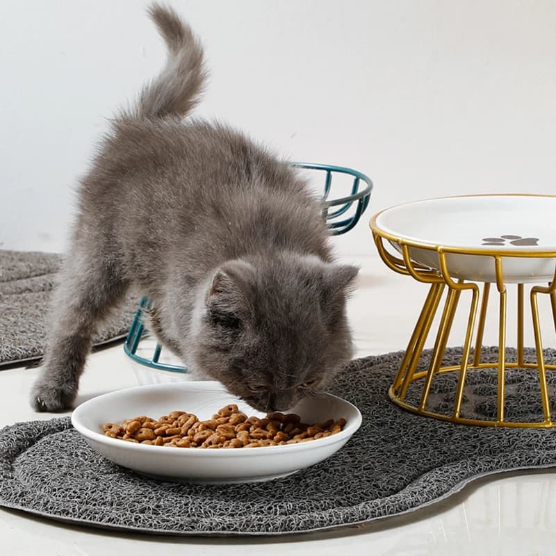 2024 nuova ciotola in ceramica per animali domestici cremagliera in ferro snack per alimenti per gatti piatto in scatola Anti-mento nero l'acqua Anti-rotazione non perde facile da mangiare