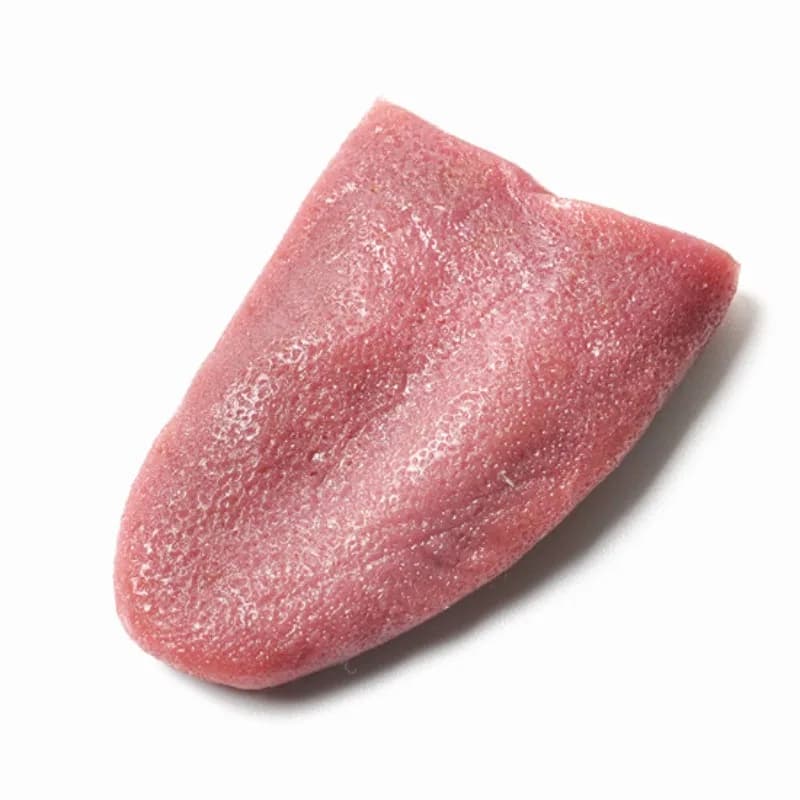 1 pz Orribile Lingua Estensibile Realistico Trucchi Magici Lingua Falsa Trucco Prop Elasticità Fools' Day Scherzo Giocattolo Accessori