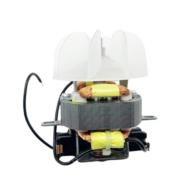 Parti dell'asciugacapelli per il motore dell'asciugacapelli professionale ad alta potenza del parrucchiere # 15 Motore con Ventola Foglia 220V 1800-2100W