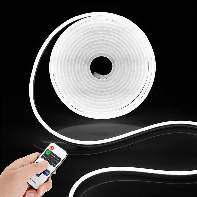 DC12V/24V Spina UE Striscia LED al neon con telecomando Dimmerabile ON/OFF 1M 2M 3M 5M 10M IP65 Tubo lampada al neon impermeabile