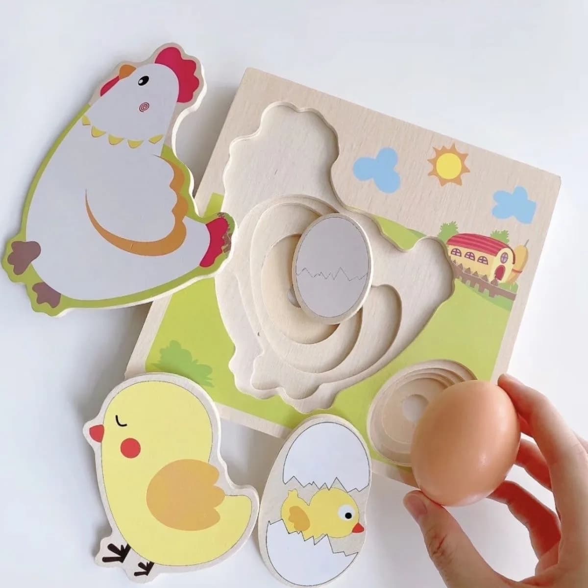Puzzle 3D in legno Pulcino che cresce le galline che ponde le uova Processo Puzzle Apprendimento Educazione Giocattoli Montessori