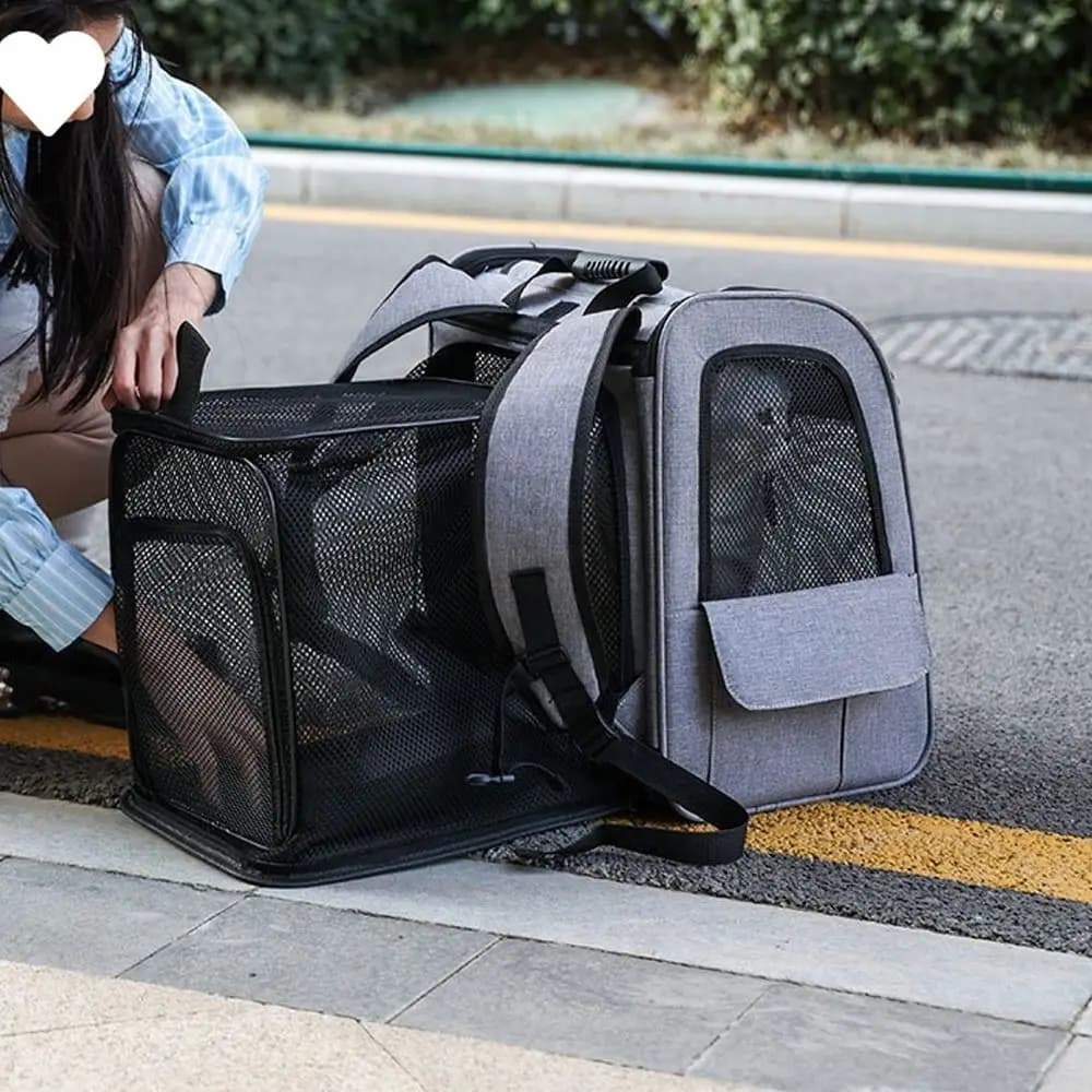 Zaino per trasportini per animali domestici di grande capacità Zaino per cuccioli portatile regolabile pieghevole Borsa per gatti espandibile traspirante Escursionismo Avventura