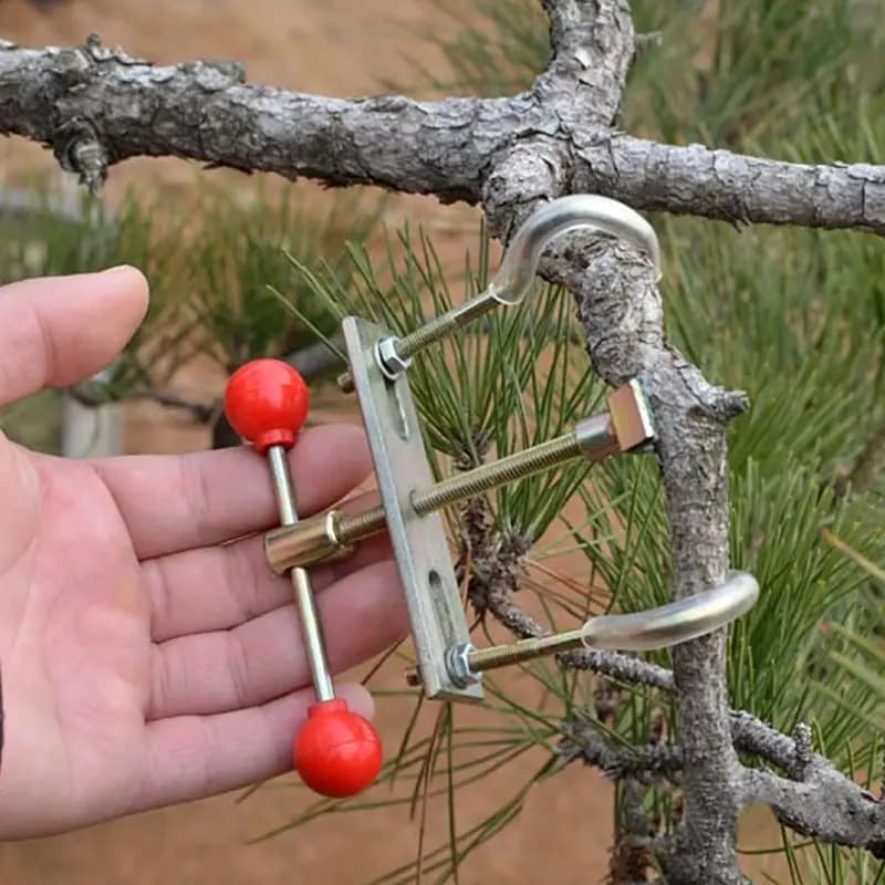 Toolkit to bend the branches of bonsai Exceptional steel for gardening care Wonderful installation Regulator for tree trunk folds