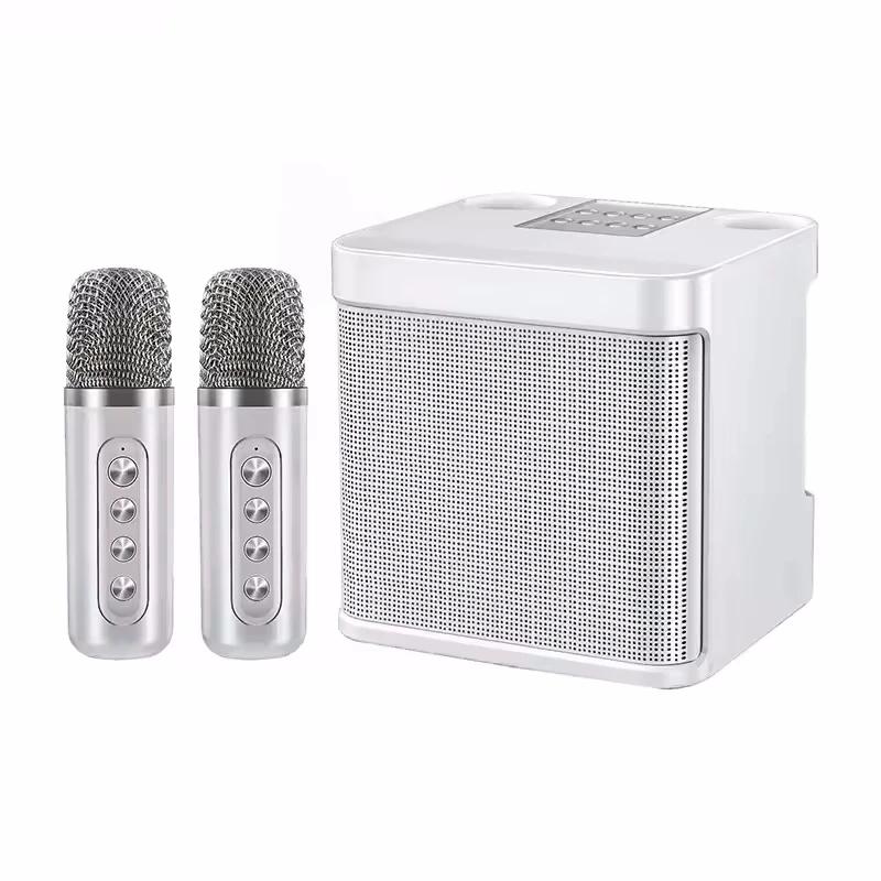 Altoparlante karaoke Bluetooth con 2 microfoni wireless, lettore AUX TF U Disk, portatile per feste all'aperto