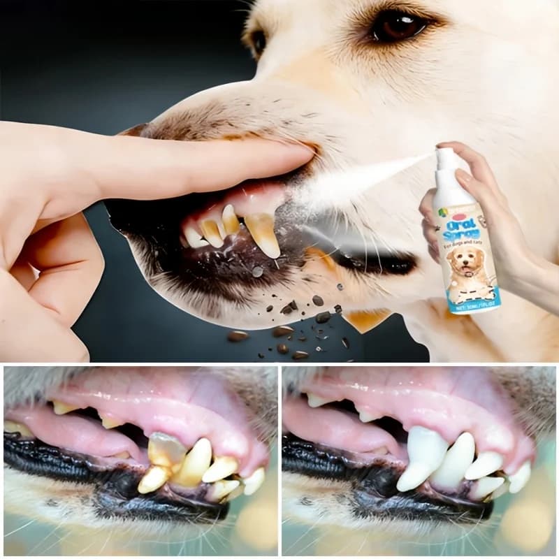 Spray per la Pulizia Orale di Cani e Gatti, Deodorante per Denti, Prevenzione del Tartaro, Rimozione dell'Alito Cattivo dei Gattini, Prodotti per Animali Domestici, Rinfresca l'Alito