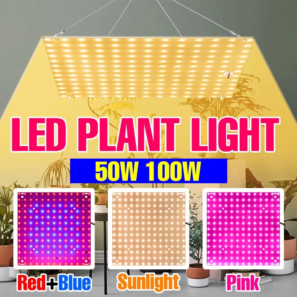 LED Lamp Quantum Board 100W for Indoor Growing in Full Spectrum, for Flowers, Serra, Fruits, Seeds and Vegetables, with Plug US/EU