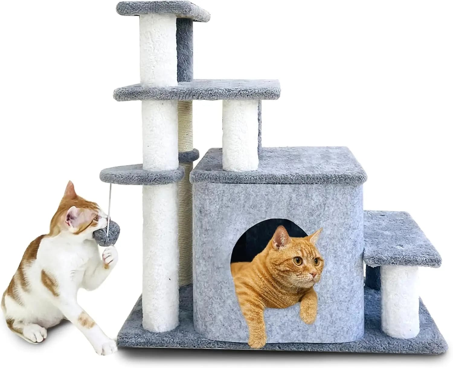 Tower for Cats from 65 cm, Cats for Cats with Tiragraffi Covered in Sisal, Centro Attività e Arredamento per Gattini, C