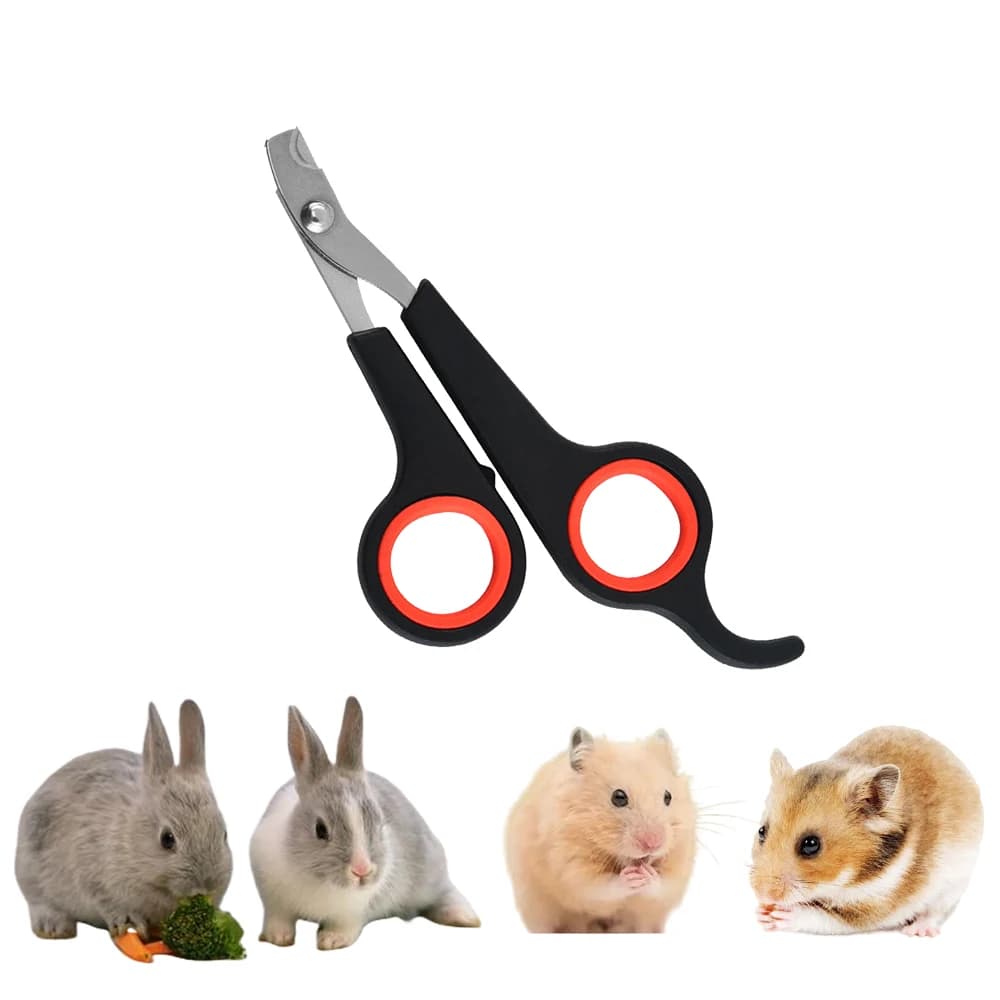 Forbici per toelettatura artigli per unghie per animali domestici Clippers per giocattoli per cani e gatti Gerbilli Piccoli animali Le più nuove forniture per furetti di coniglio Prodotti per animali domestici